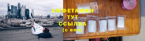 твердый Ельня