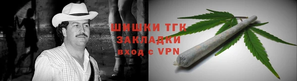 твердый Ельня