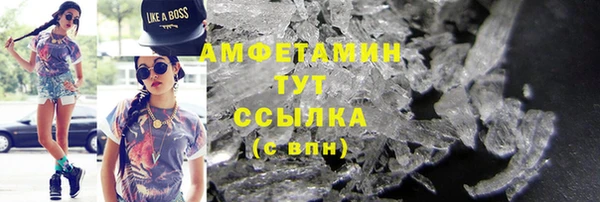 твердый Ельня