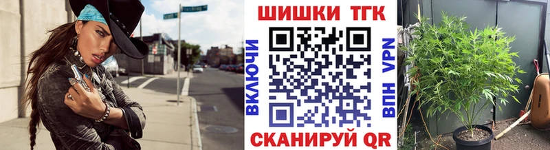 Купить где  Константиновск  Конопля сатива 